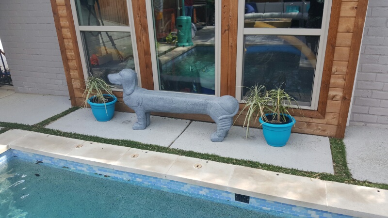 Uma Dog Bench