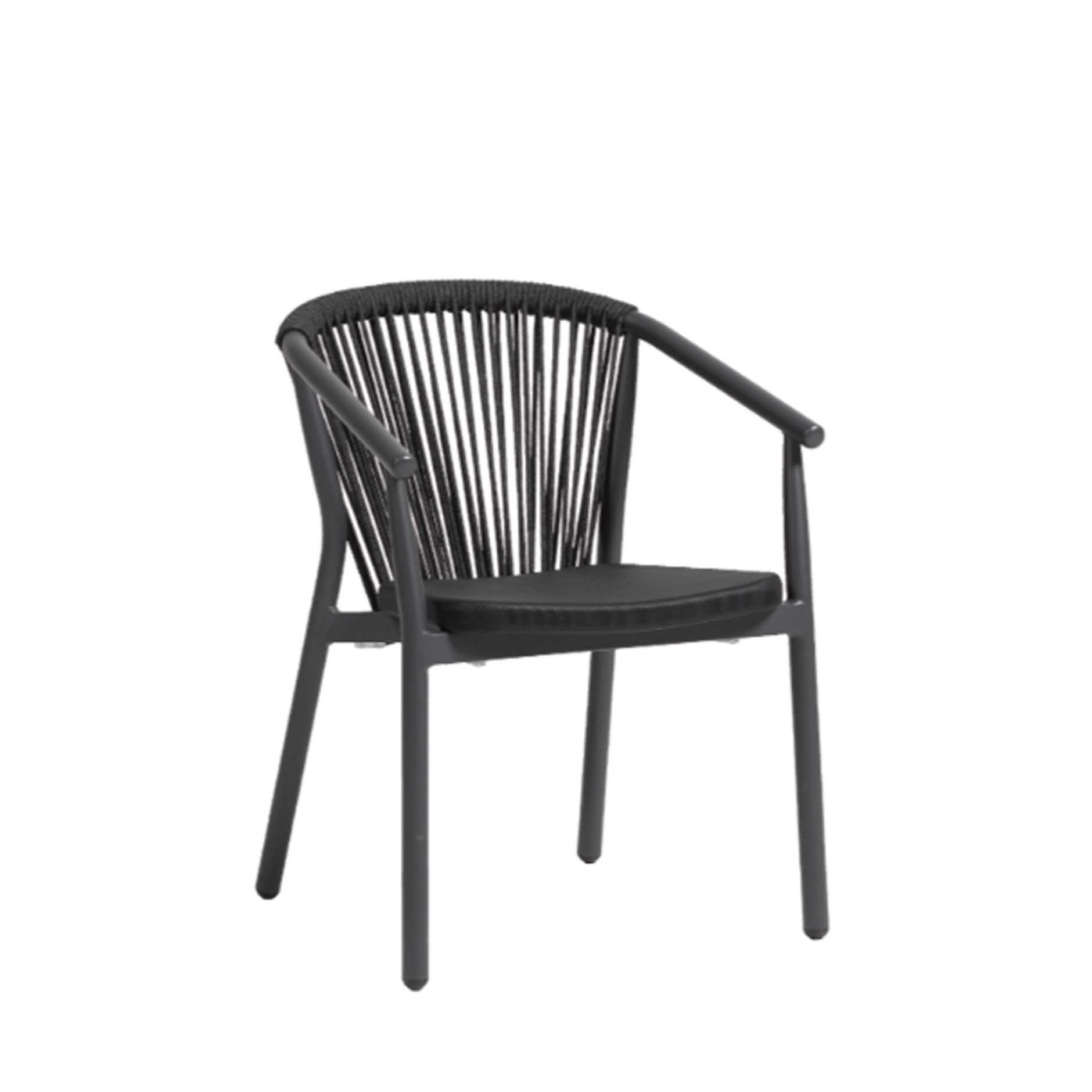 Trinity Dining Arm Chair - Black