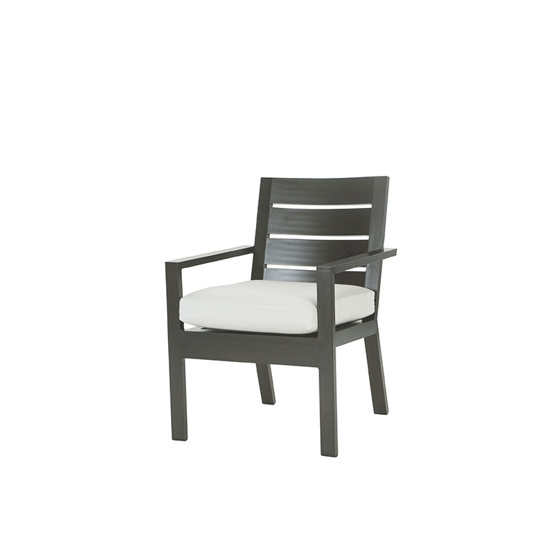 Palermo Cushion Dining Arm Chair